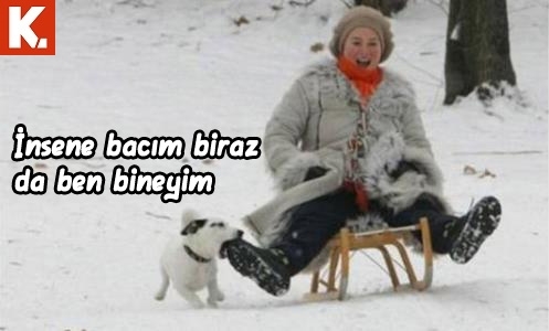 İnsan gerçekten hayret ediyor 7