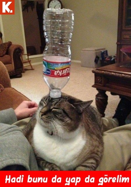 Gülmekten kopartan capsler 3