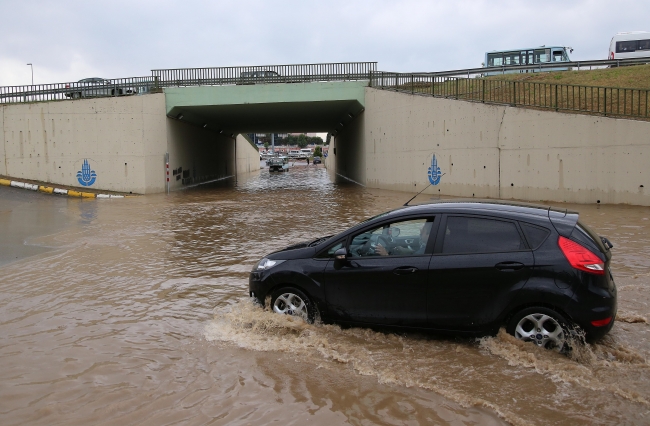 6 günde ikinci kez nehre döndü 15