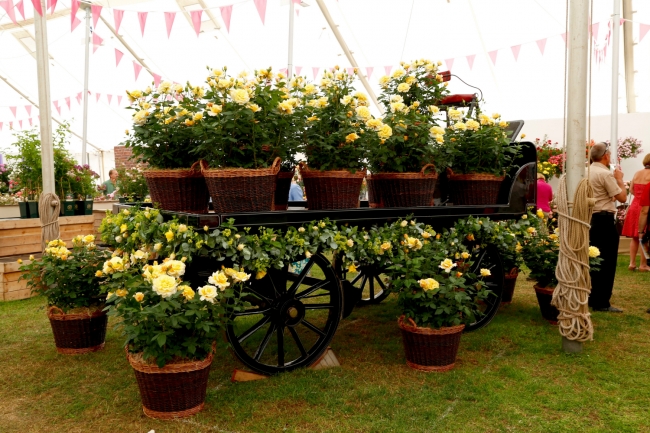 Türk Cennet Bahçesi İngiltere'de altını göğüsledi 2