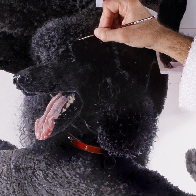 Gerçek olsalar ancak bu kadar canlı görünebilirlerdi 15