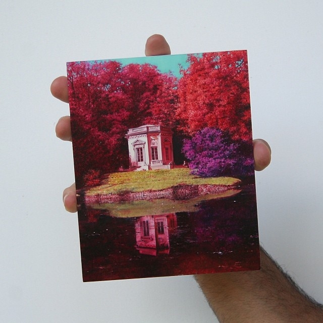 Gerçek olsalar ancak bu kadar canlı görünebilirlerdi 18