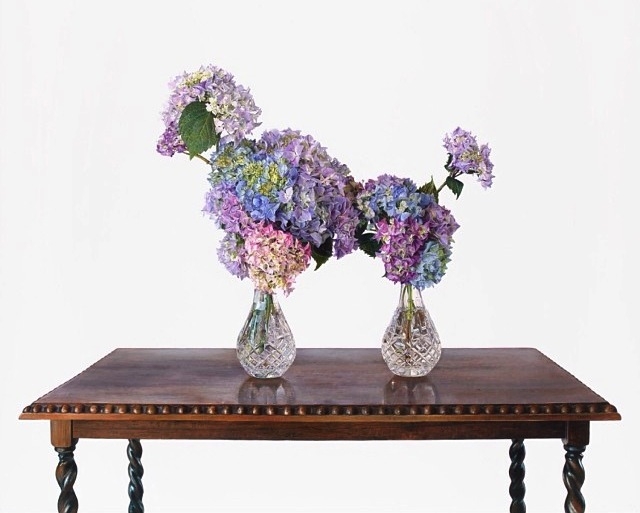 Gerçek olsalar ancak bu kadar canlı görünebilirlerdi 9