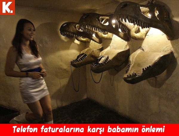 Enerji veren capsler 17