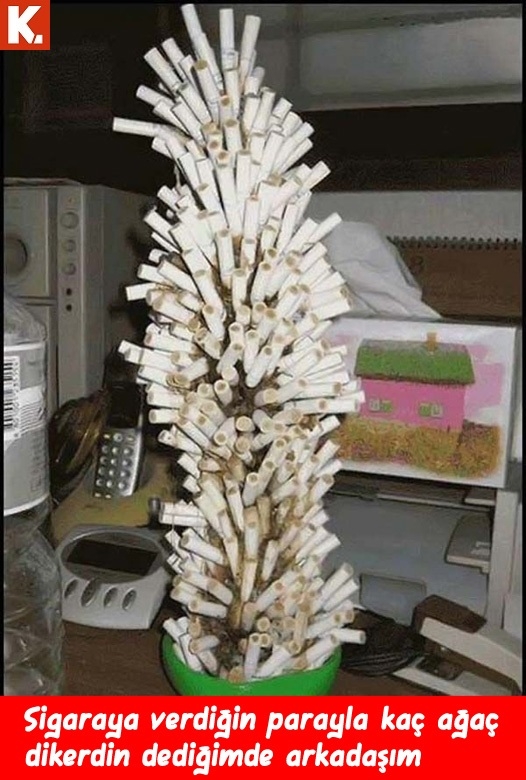 Enerji veren capsler 18