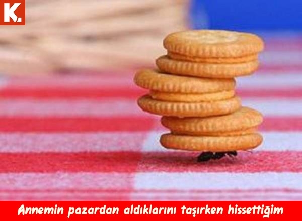 Enerji veren capsler 20