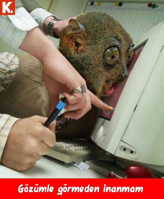 Enerji veren capsler 25