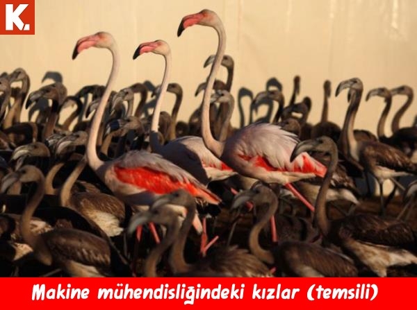 Enerji veren capsler 28