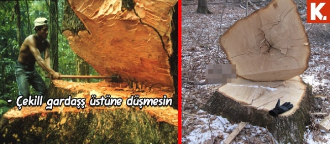 Son anların capsleri 14