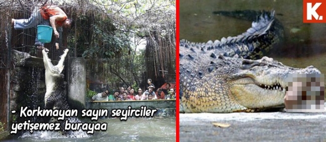 Son anların capsleri 17