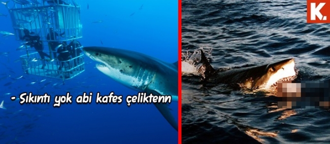 Son anların capsleri 22