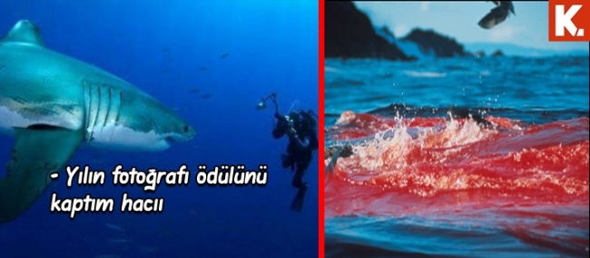 Son anların capsleri 29