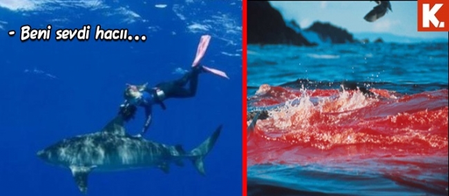 Son anların capsleri 32