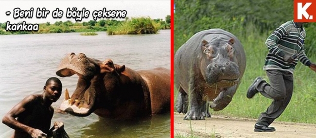 Son anların capsleri 4