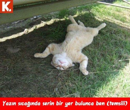 Kahvaltı sonrası capsleri 1