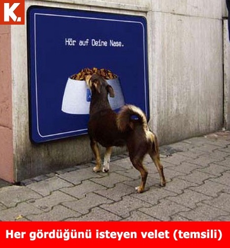 Kahvaltı sonrası capsleri 6