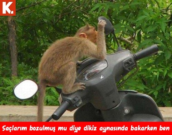 Kahvaltı sonrası capsleri 9