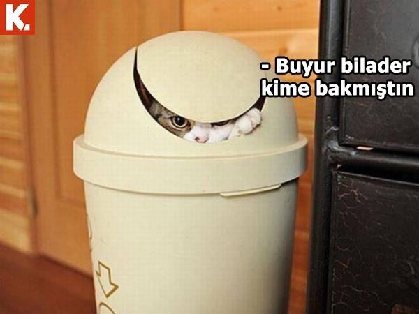 Kahvaltı sonrası capsleri 12