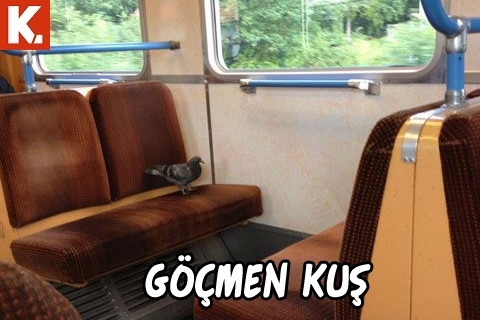 Tadımlık capsler 12