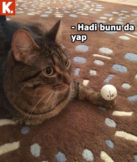 Tadımlık capsler 2