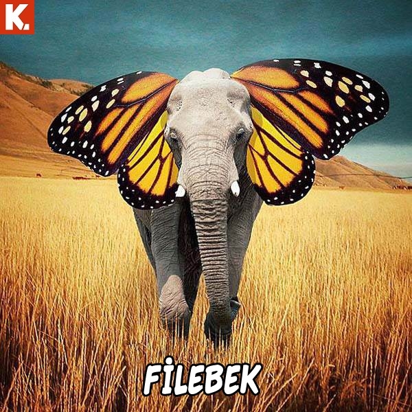 Tadımlık capsler 15