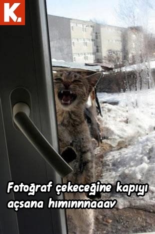 Tadımlık capsler 17