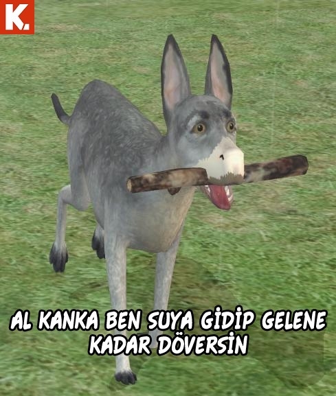 Tadımlık capsler 30