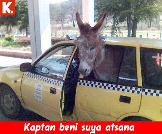 Tadımlık capsler 31