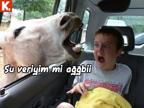 Tadımlık capsler 7