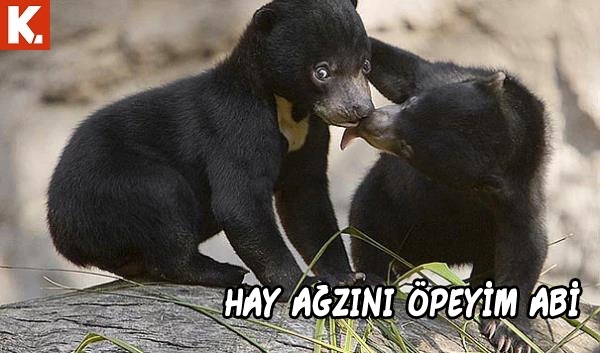 Tadımlık capsler 10