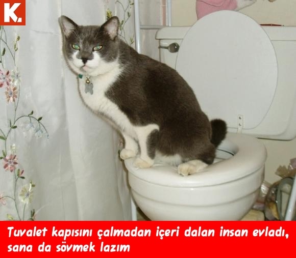 "Sana da sövmek lazım" capsleri 3