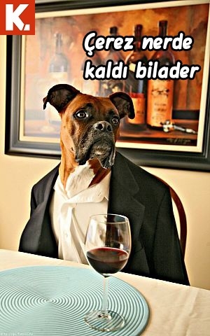 Gülmelik capsler 16