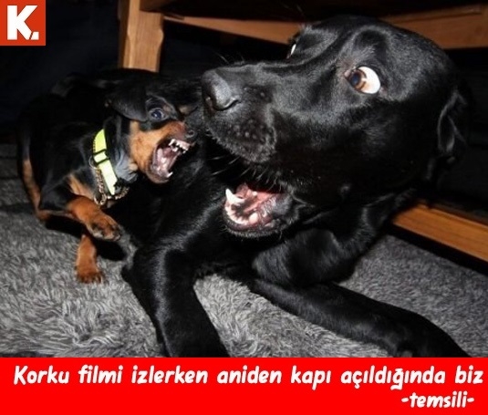 Gülmelik capsler 20