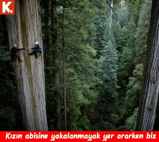 Gülmelik capsler 21