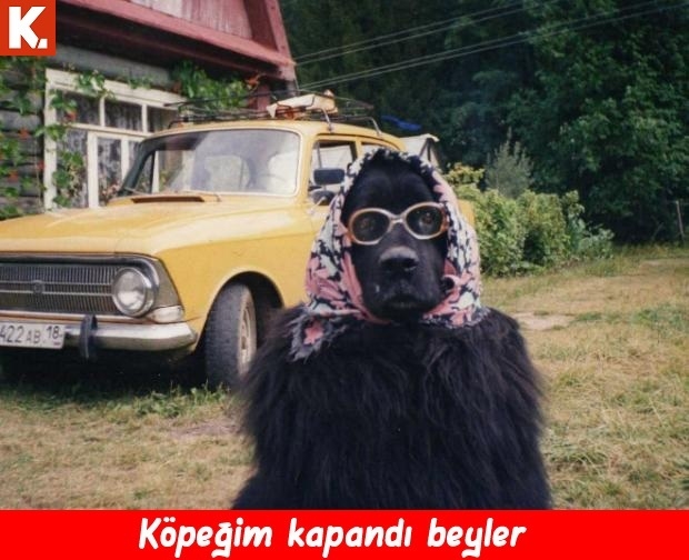 Gülmelik capsler 32