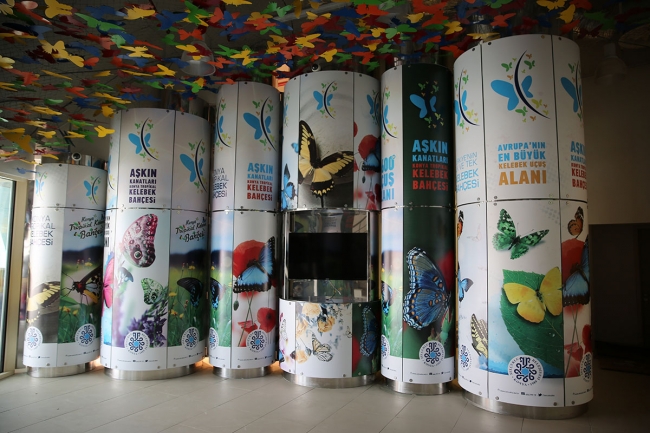 Anadolu'nun ortasına kelebek kondu 5