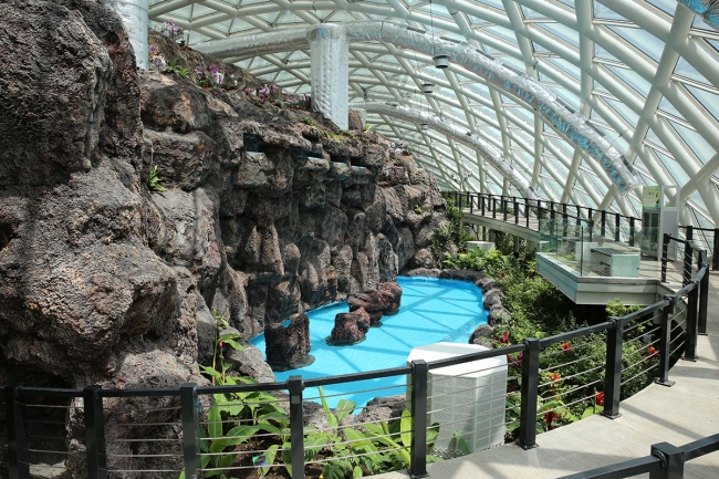 Anadolu'nun ortasına kelebek kondu 13