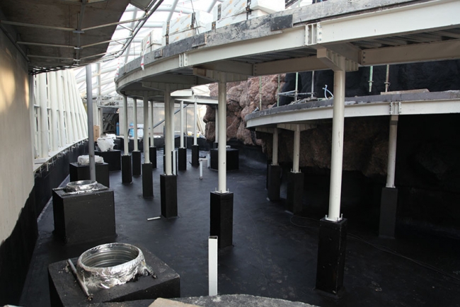 Anadolu'nun ortasına kelebek kondu 18