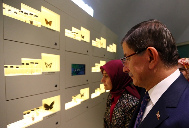 Anadolu'nun ortasına kelebek kondu 1