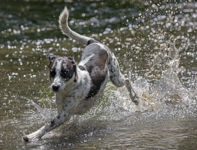 Avrupa'da yüzyılın sıcağı 8