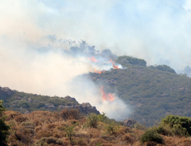 Bodrum'da korkutan yangın 2