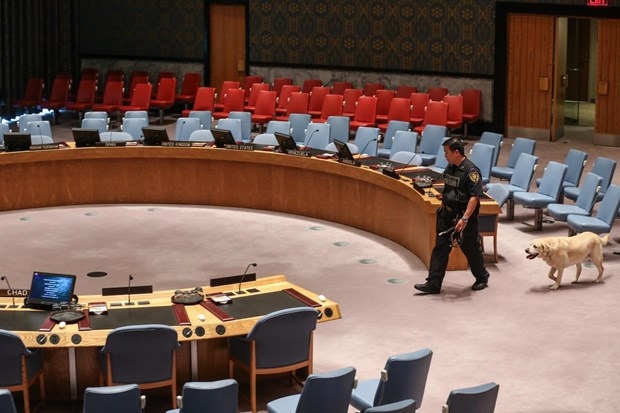 Bu kez de bomba engeli! 7