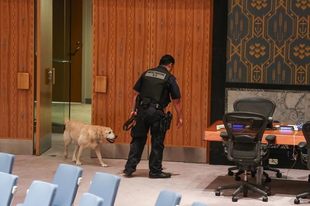 Bu kez de bomba engeli! 6