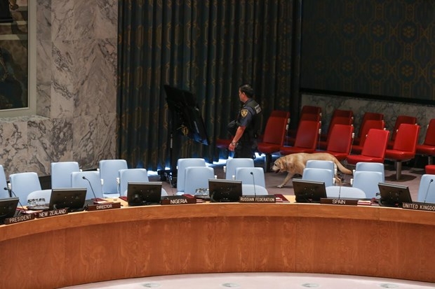 Bu kez de bomba engeli! 1