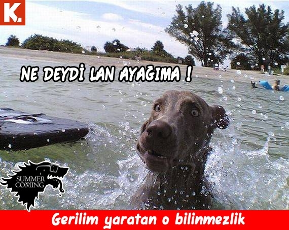 "Summer is coming" capsleri 14