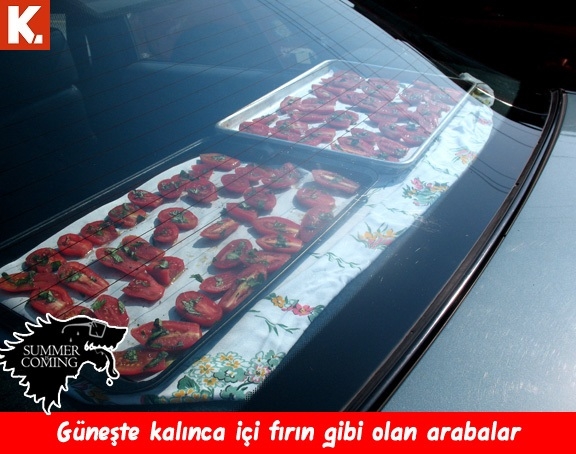 "Summer is coming" capsleri 20