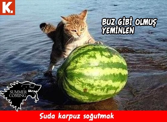 "Summer is coming" capsleri 22