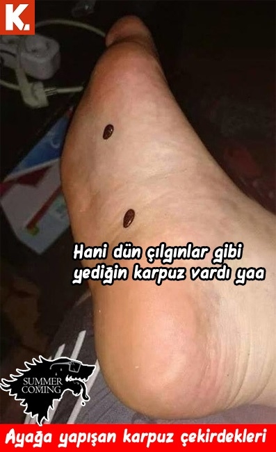 "Summer is coming" capsleri 3