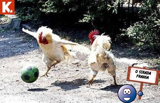 "O sırada ülkeler" capsleri 11