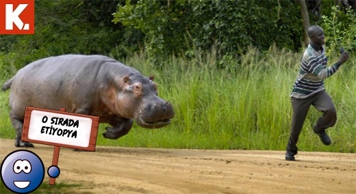 "O sırada ülkeler" capsleri 13